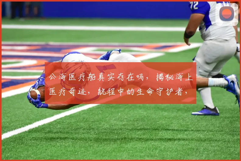 公海医疗船真实存在吗，揭秘海上医疗奇迹，航程中的生命守护者，医疗援助全球视野