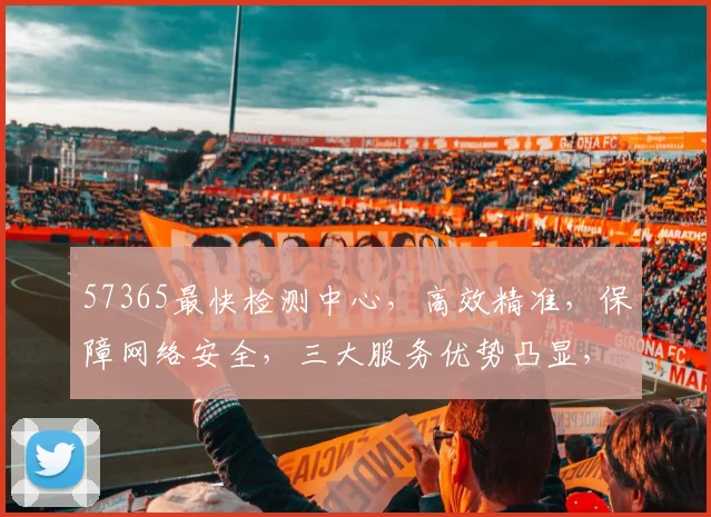 57365最快检测中心，高效精准，保障网络安全，三大服务优势凸显，值得信赖